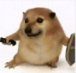 成人永久免费看视频APPAPP应用