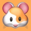 木瓜视频下载官方版APP应用