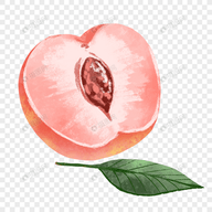 小蝌蚪APPAPP应用