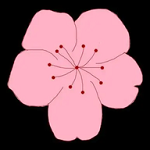 红桃视频官方版图片